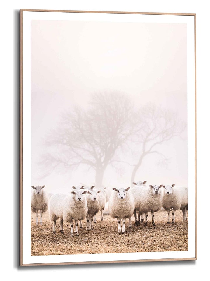 Orangewallz Druk artystyczny "Linda's Sheep" w ramce rozmiar: 50x70 cm