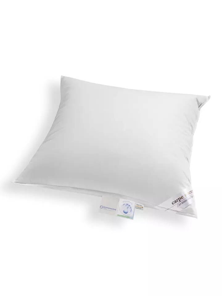 Schäfer Poduszka "Carpe noctem - soft" w kolorze srebrnym rozmiar: 40x80 cm