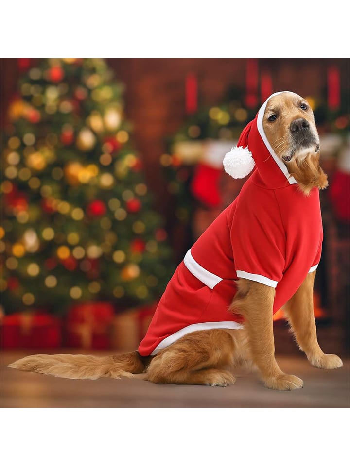 Paws&Whiskers Bluza w kolorze czerwonym dla psa rozmiar: 5XL