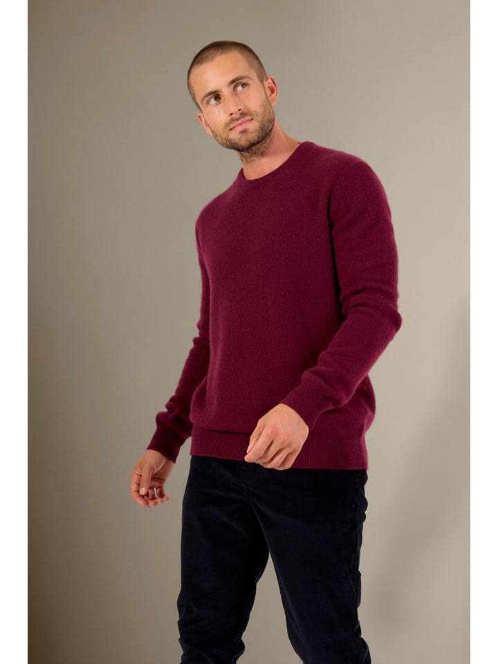 Perfect Cashmere Kaszmirowy sweter "Eden" w kolorze jagodowym rozmiar: XXL