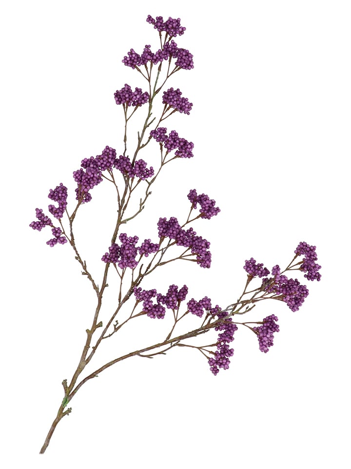 daan kromhout Dekoracyjna gałązka w kolorze ciemnofioletowo-brązowym - wys. 108 cm rozmiar: onesize