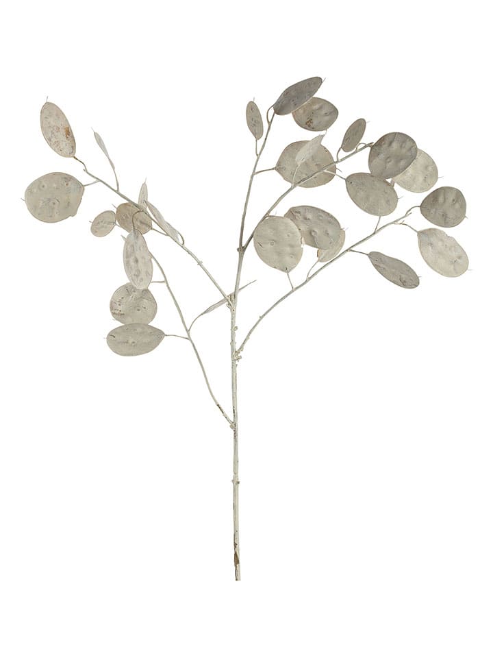 LEONARDO Sztuczny kwiat "Dollar plant" w kolorze białym - dł. 86 cm rozmiar: onesize