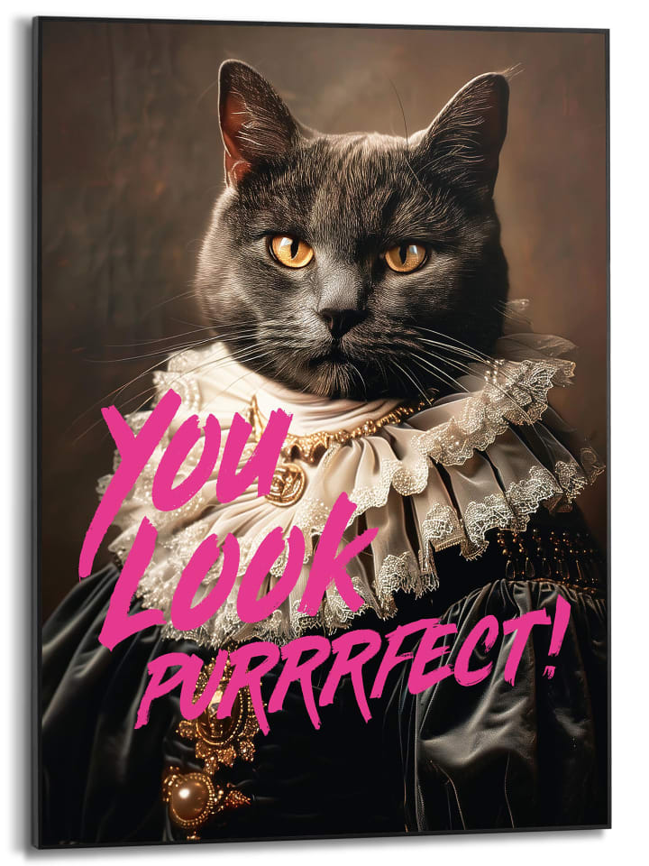 Orangewallz Druk artystyczny "You Look Purfect" w ramce rozmiar: 50x70 cm