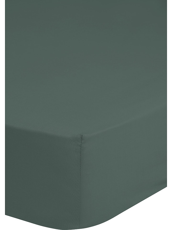 Good Morning Prześcieradło "Good Morning" w kolorze oliwkowym na gumce rozmiar: 160x200 cm