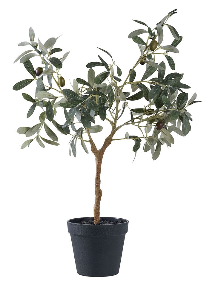 House Nordic Sztuczna roślina "Olive Tree" w kolorze zielonym - wys. 61 cm rozmiar: onesize