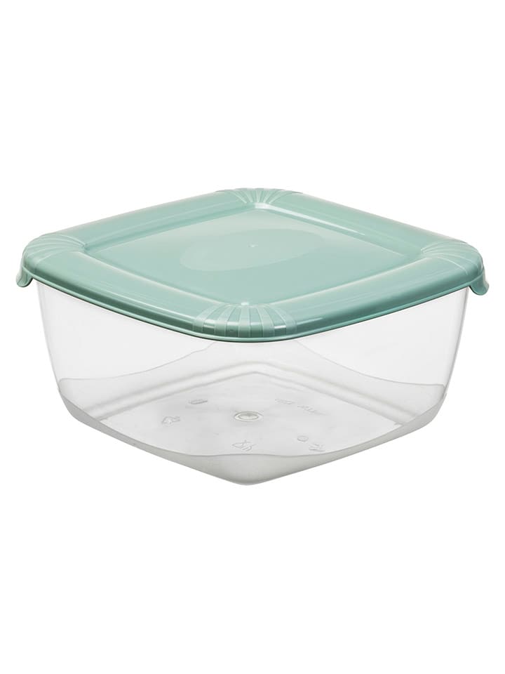 Plast Team Pojemnik w kolorze zielonym - 20 x 9,9 x 20 cm rozmiar: onesize