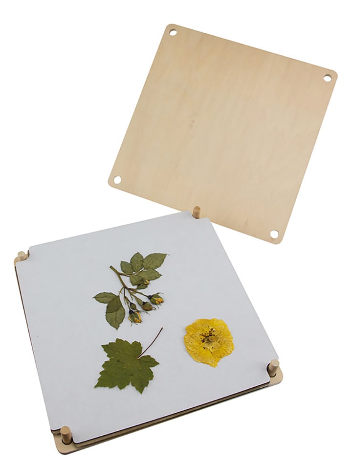 BLS Praska do odbijania kwiatów - 30 x 30 cm rozmiar: onesize