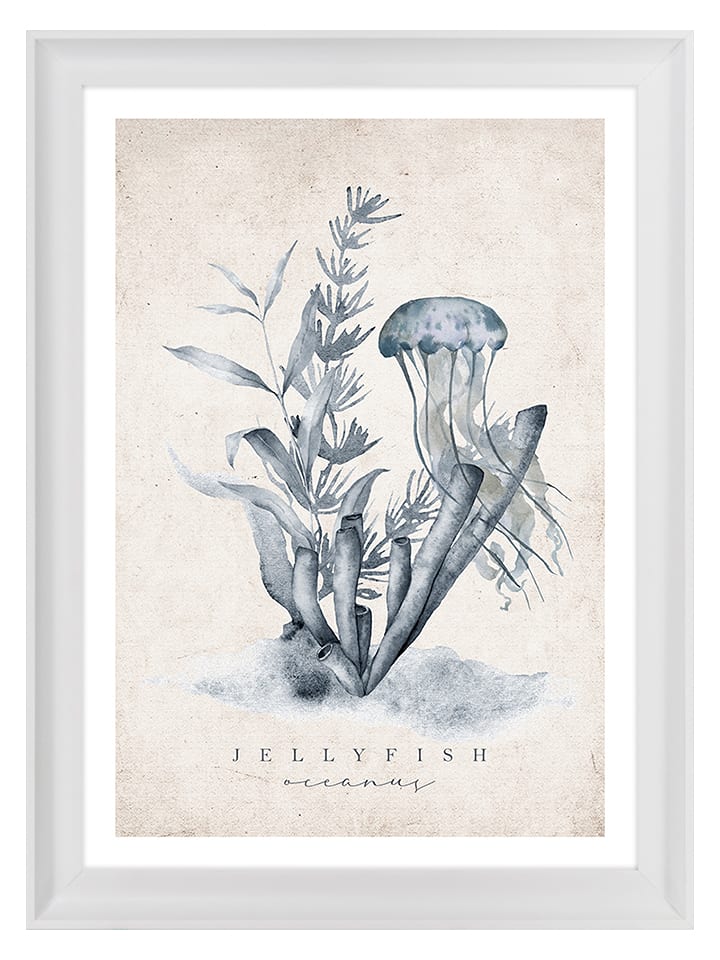 Ars Longa Druk artystyczny "Jellyfish Illustration" w ramce - 70 x 50 cm rozmiar: onesize