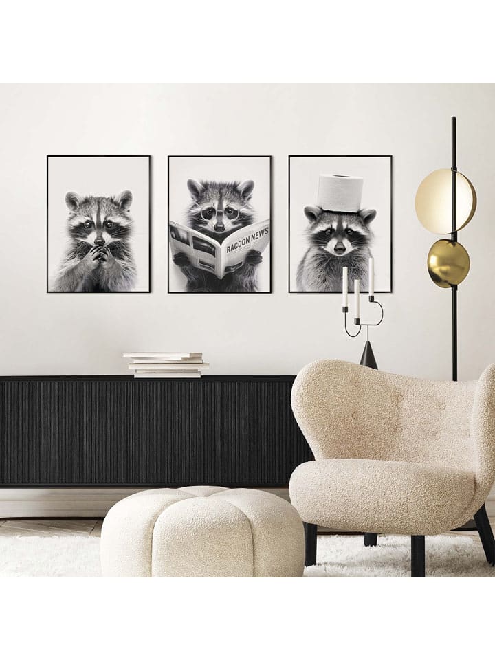 Orangewallz Druki artystyczne (3 szt.) "Racoon" w ramce rozmiar: 30x40 cm