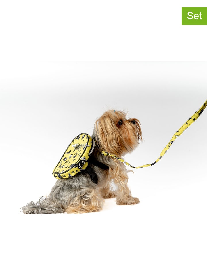 Paws&Whiskers 2-częściowy zestaw w kolorze żółtym dla psa rozmiar: onesize