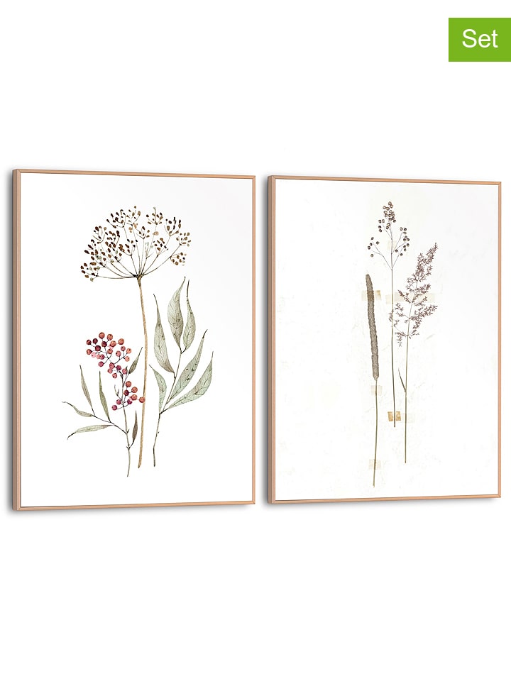 Orangewallz Druki artystyczne (2 szt.) "Dried Flowers and Grasses Set" w ramce rozmiar: 30x40 cm