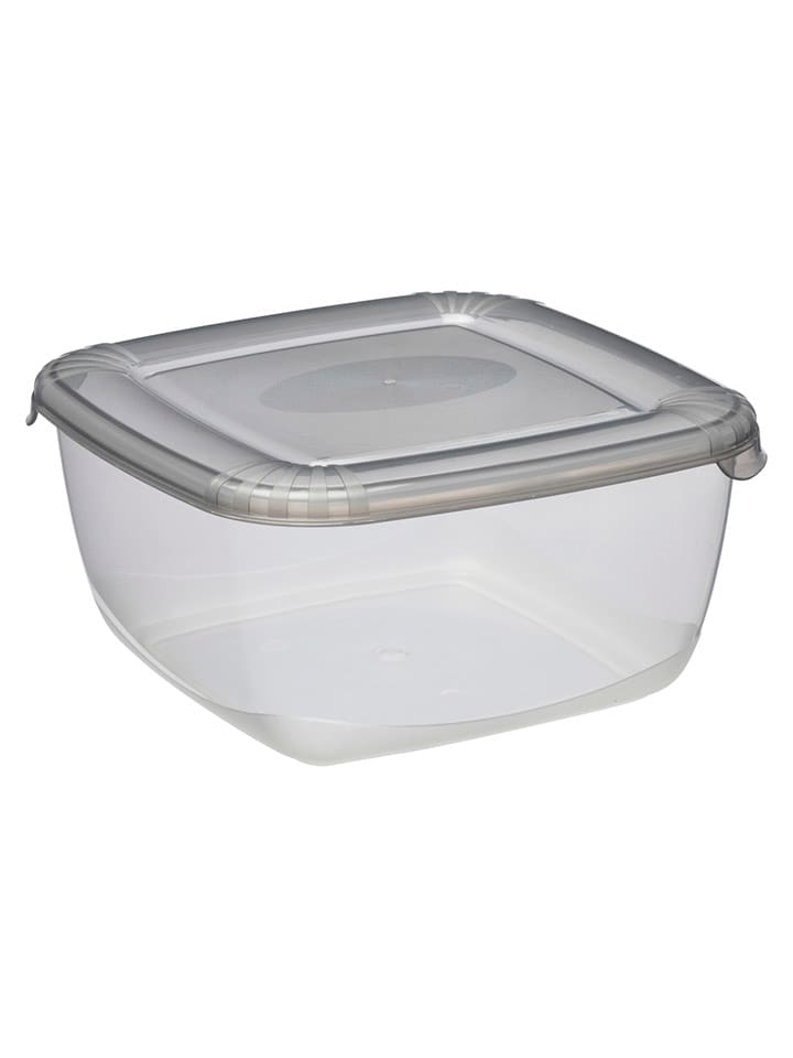 Plast Team Pojemnik w kolorze szarym - 20 x 9,9 x 20 cm rozmiar: onesize