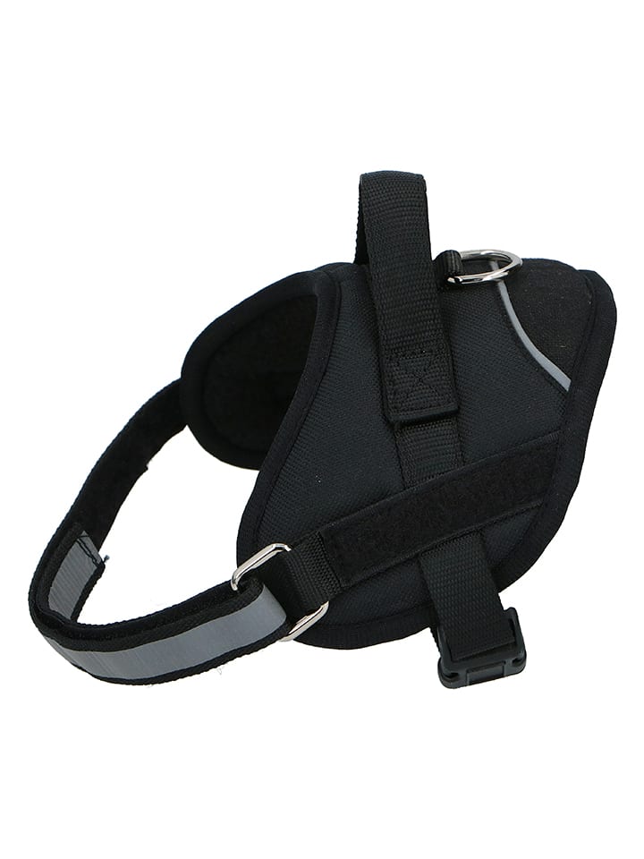 Edco Szelki w kolorze czarnym dla psa rozmiar: XL