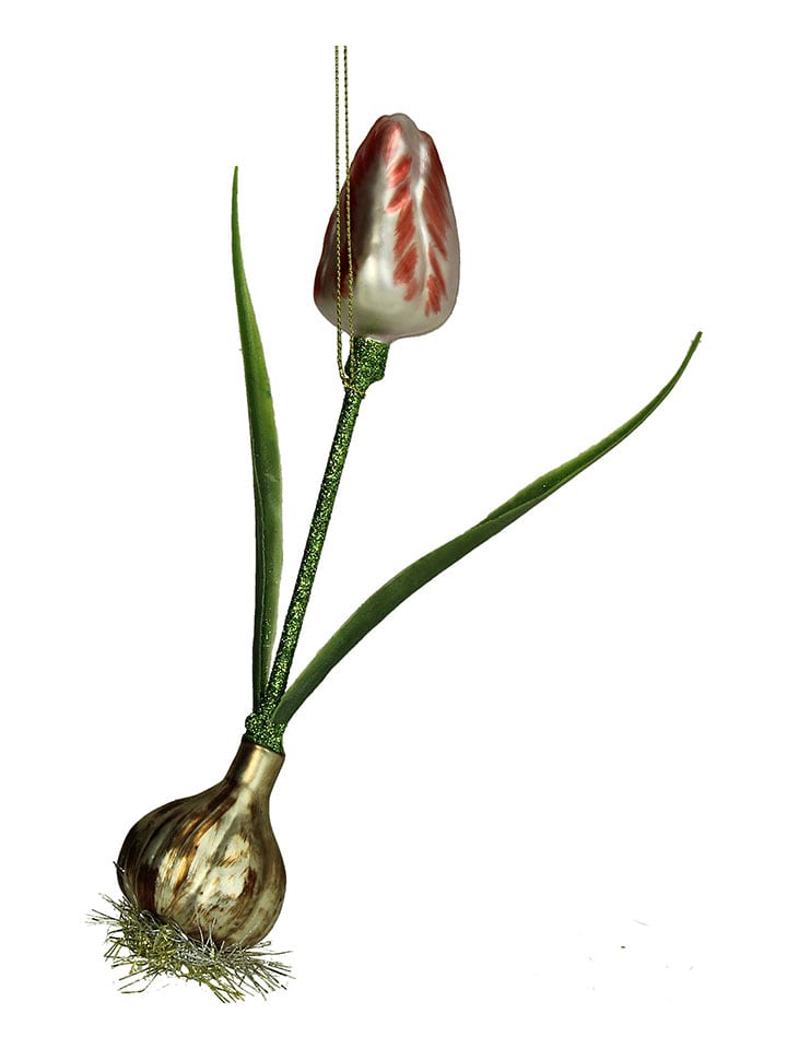 Kersten Ozdoba choinkowa "Tulip" w kolorze zielono-czerwonym - wys. 20,3 cm rozmiar: onesize