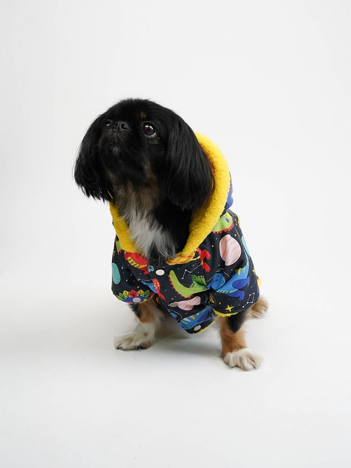 Paws&Whiskers Bluza ze wzorem dla psa rozmiar: L