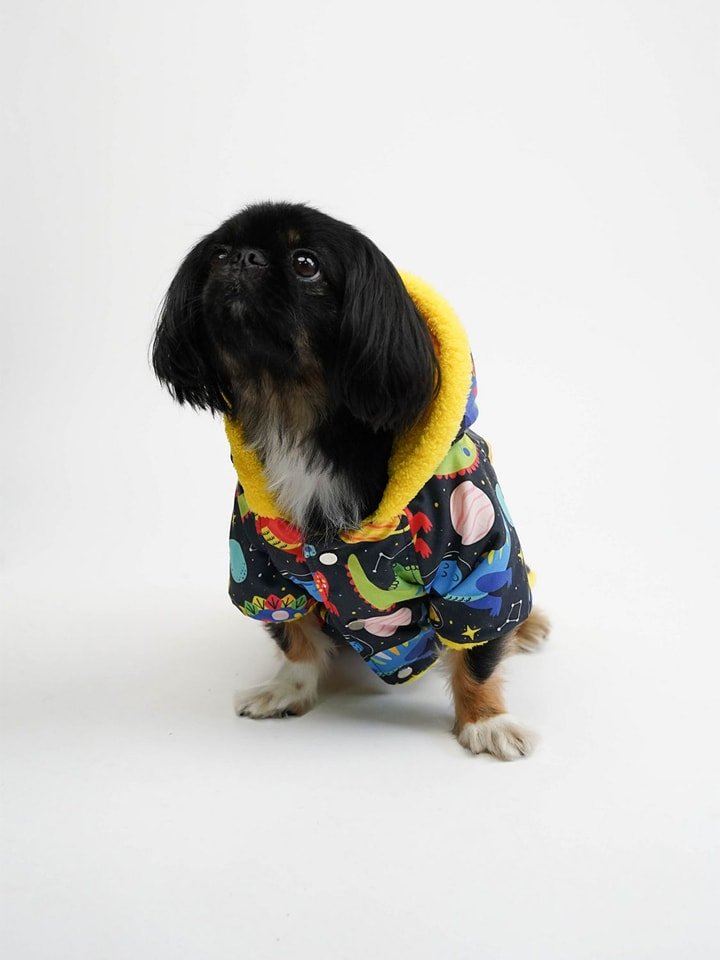 Paws&Whiskers Bluza ze wzorem dla psa rozmiar: L