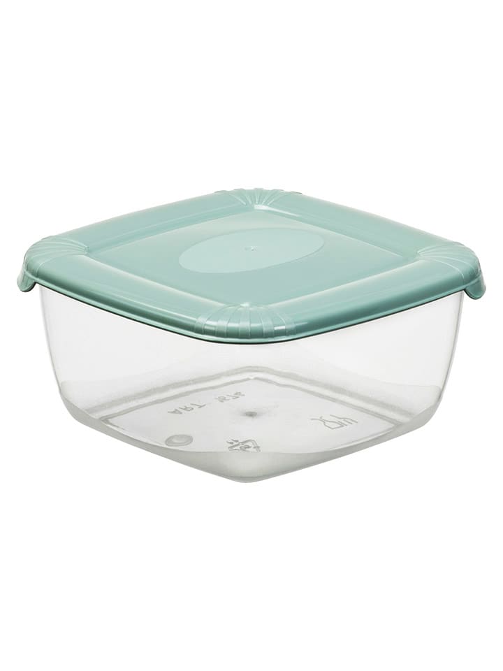 Plast Team Pojemniki w kolorze zielonym - 11,4 x 5,6 x 11,4 cm rozmiar: onesize