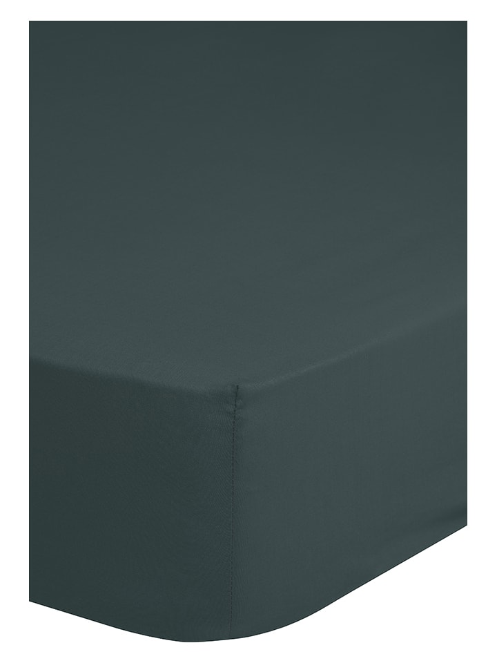 Good Morning Dżersejowe prześcieradło "Good Morning" w kolorze zielonym na gumce rozmiar: 180x200 cm