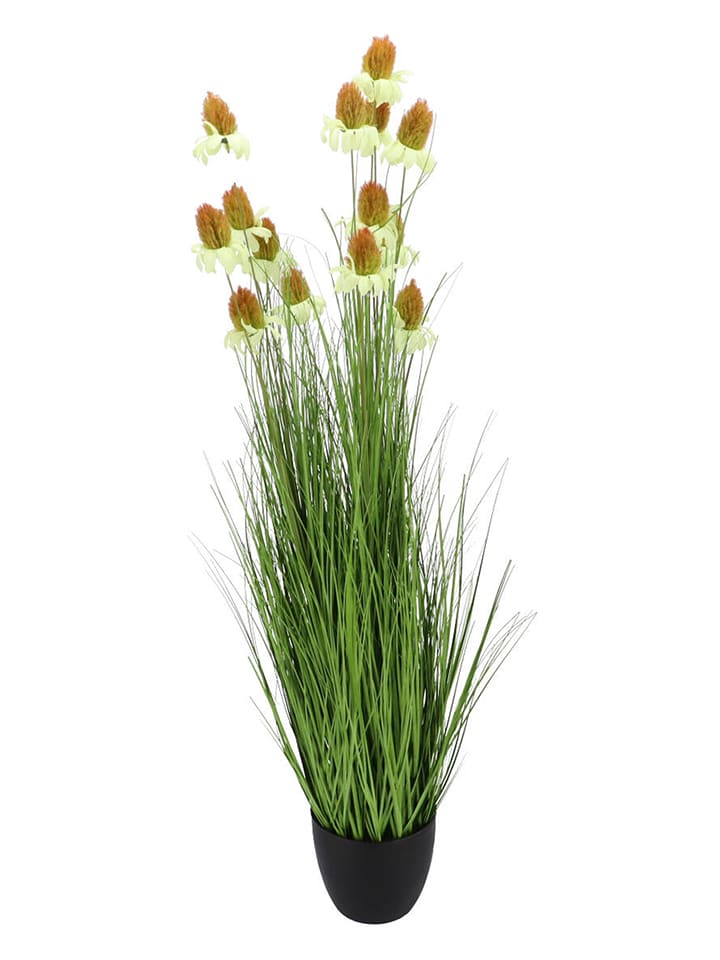 daan kromhout Sztuczna roślina "Cosmos Grass" w kolorze zielonym - wys. 120 cm rozmiar: onesize