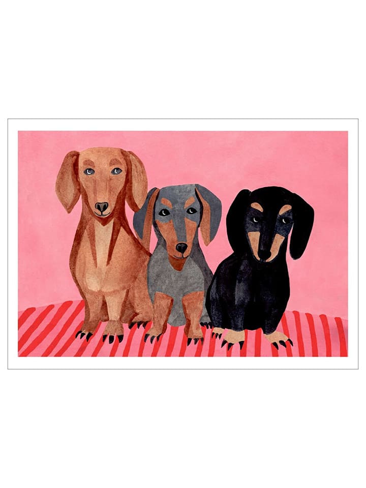 Poster & Frame Druk artystyczny "Dachshunds" rozmiar: 50x70 cm