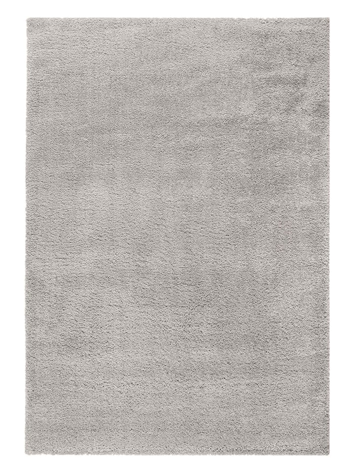 Flair Rugs Dywan w kolorze jasnoszarym rozmiar: 120x170 cm