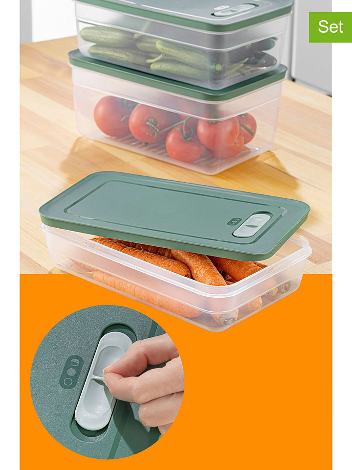 Violeta Home Pojemniki (3 szt.) w kolorze zielonym rozmiar: onesize