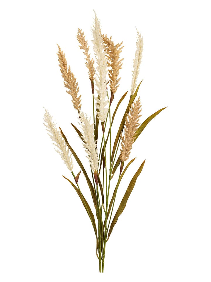 House Nordic Trawa ozdobna w kolorze beżowo-zielonym - 130 cm rozmiar: onesize