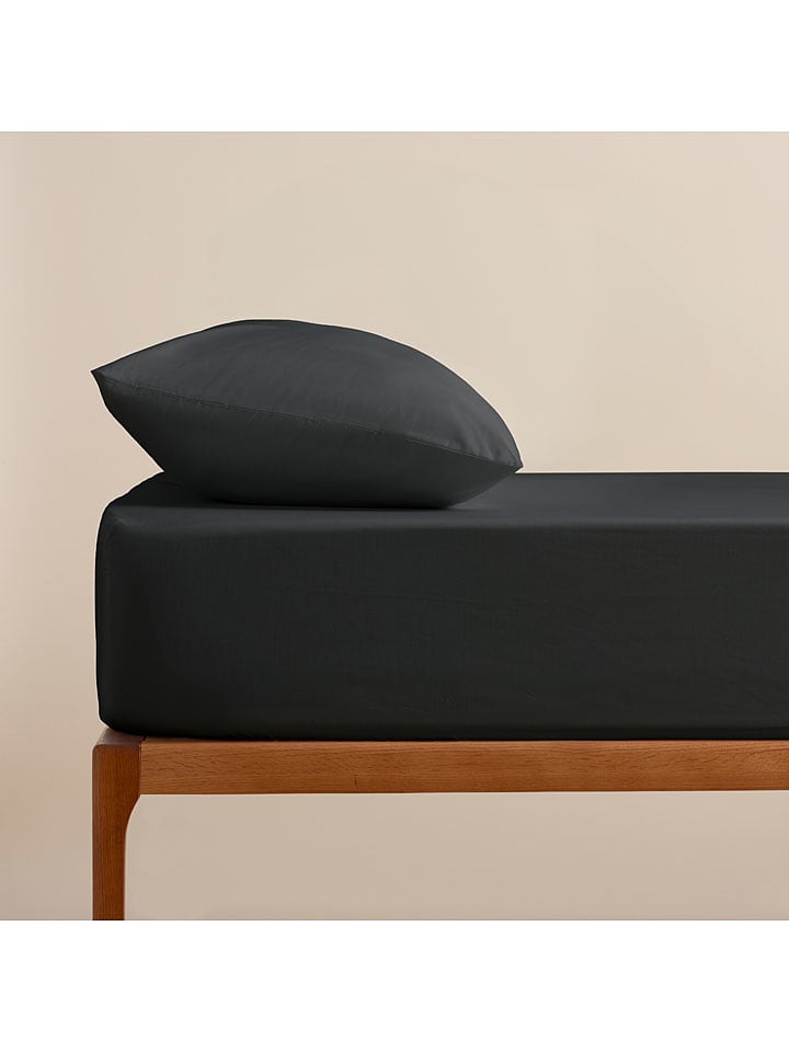 Pierre Cardin Perkalowe prześcieradło w kolorze antracytowym na gumce rozmiar: 135x200 cm