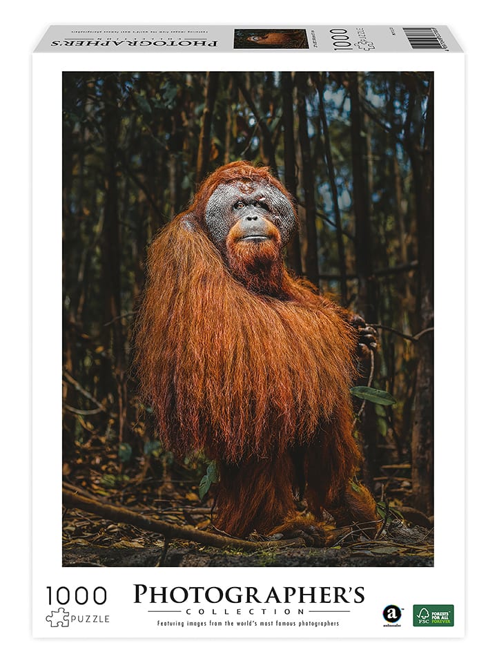 ambassador 1000-częściowe puzzle "Orang-Utan" - 14+ rozmiar: onesize