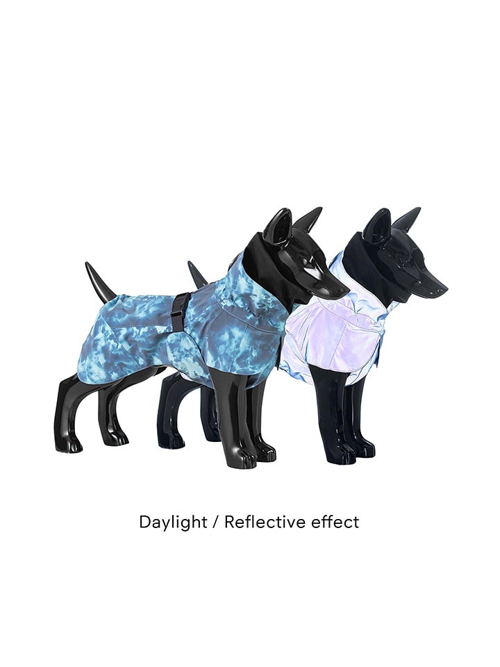 Paikka Płaszcz przeciwdeszczowy w kolorze niebieskim dla psa rozmiar: 20 cm