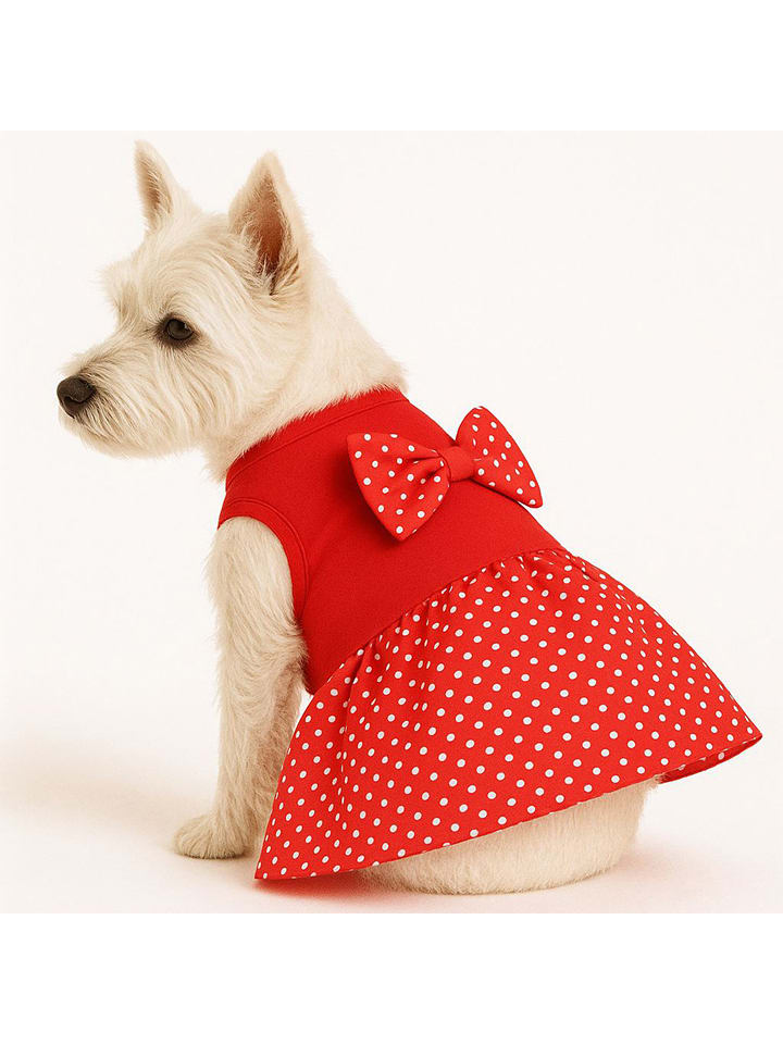 Paws&Whiskers Bluza w kolorze czerwonym dla psa rozmiar: L