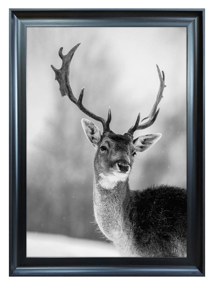 Ars Longa Druk artystyczny "Beautiful Deer" w ramce - 70 x 50 cm rozmiar: onesize