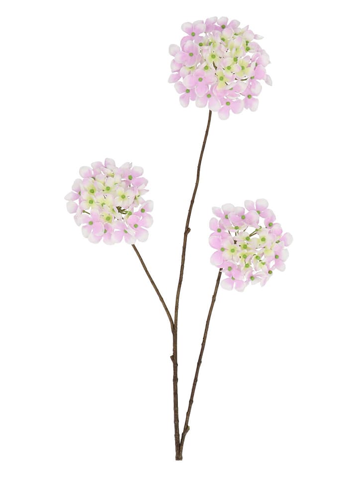 daan kromhout Sztuczny kwiat "Hydrangea" w kolorze fioletowo-brązowym - wys. 85 cm rozmiar: onesize