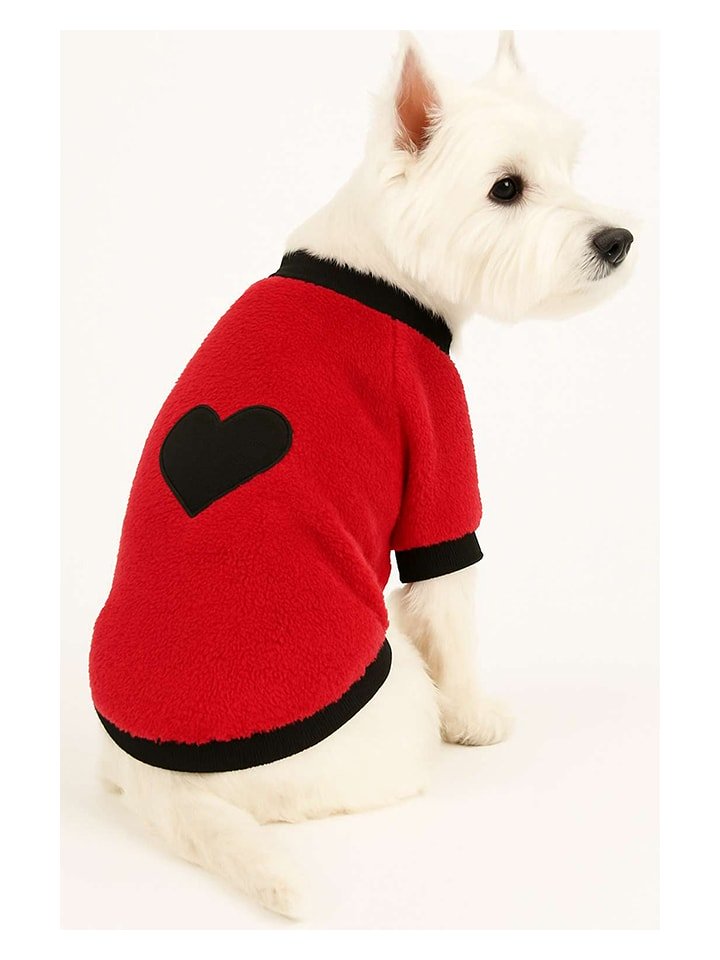 Paws&Whiskers Bluza w kolorze czerwonym dla psa rozmiar: M