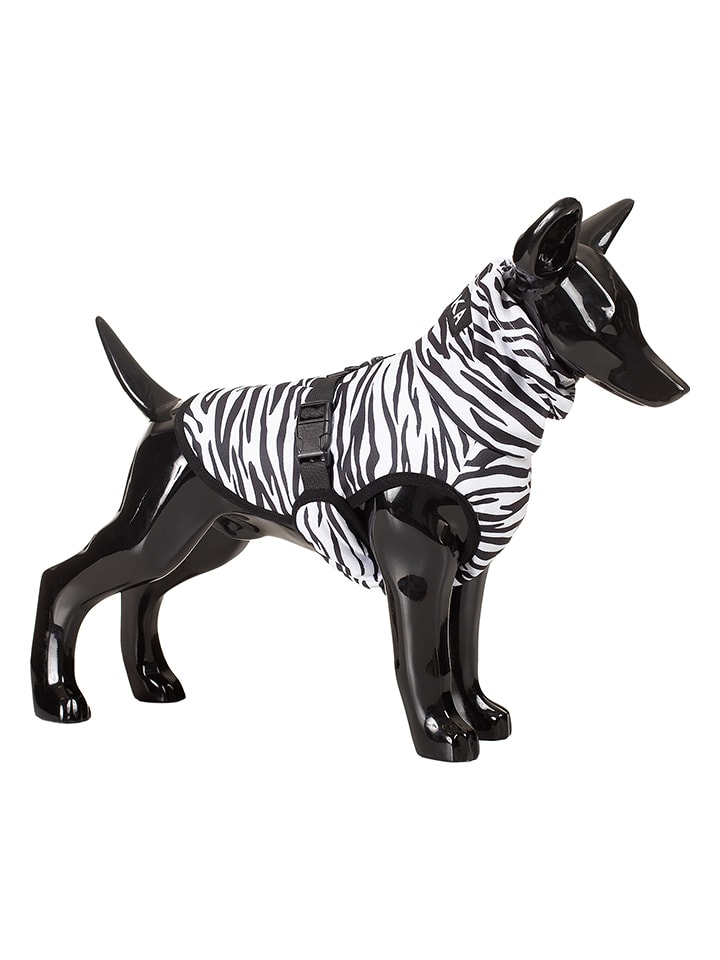 Paikka Kamizelka w kolorze czarno-białym dla psa rozmiar: 25 cm