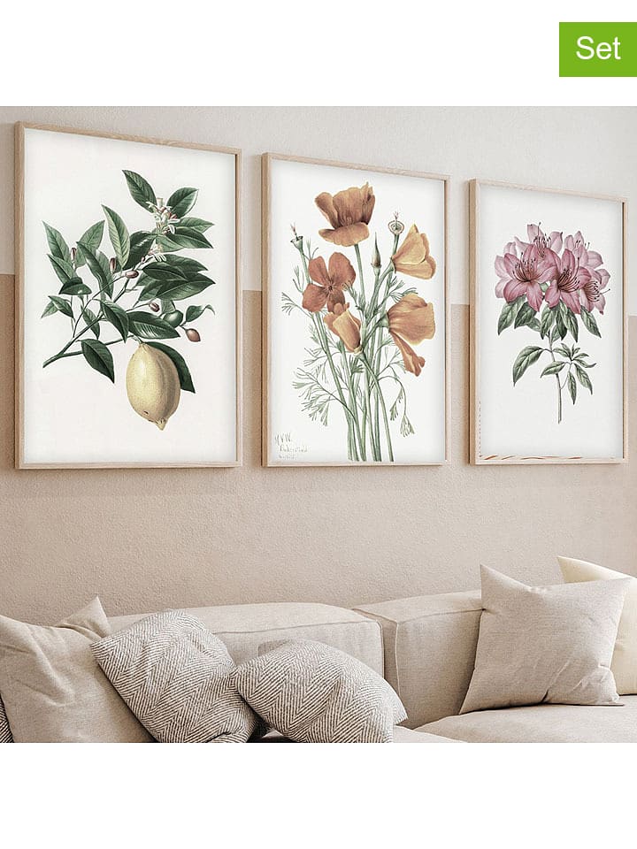 ABERTO DESIGN Druki artystyczne (3 szt.) w ramce rozmiar: 50x70 cm