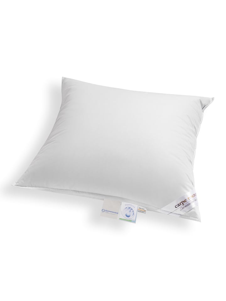 Schäfer Poduszka "Carpe noctem - soft" w kolorze srebrnym rozmiar: 80x80 cm