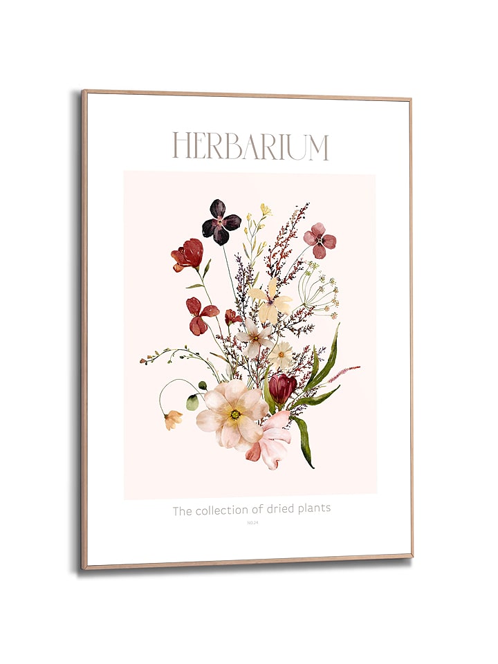 Orangewallz Druk artystyczny "Herbarium" w ramce rozmiar: 50x70 cm