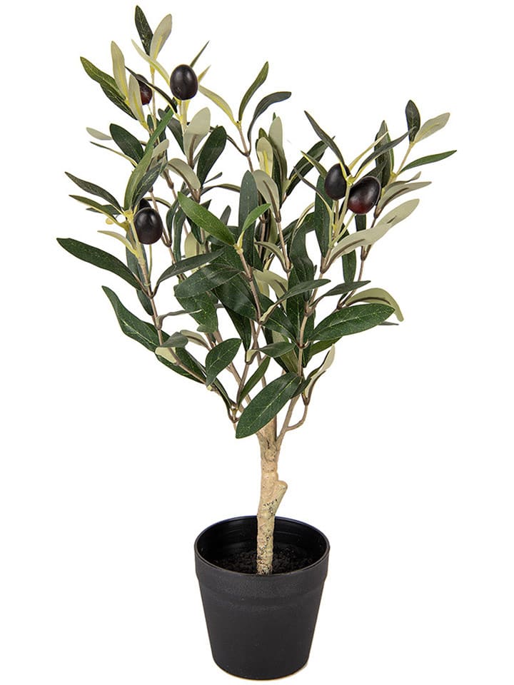 Clayre & Eef Sztuczna roślina w kolorze zielonym - wys. 50 x Ø 15 cm rozmiar: onesize