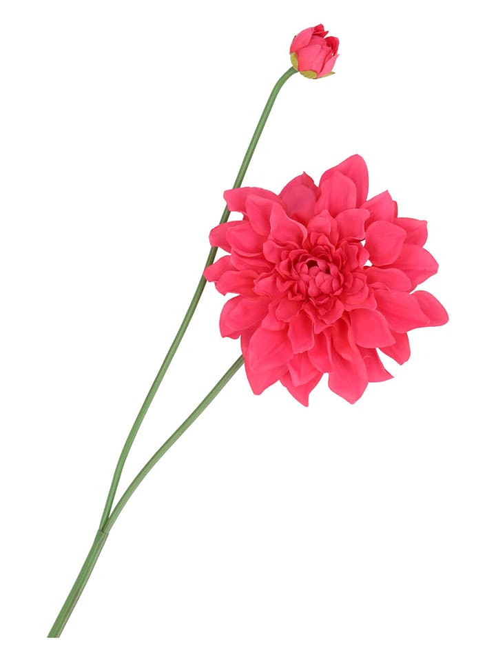 daan kromhout Sztuczny kwiat "Dahlia" w kolorze czerwono-zielonym - wys. 78 cm rozmiar: onesize