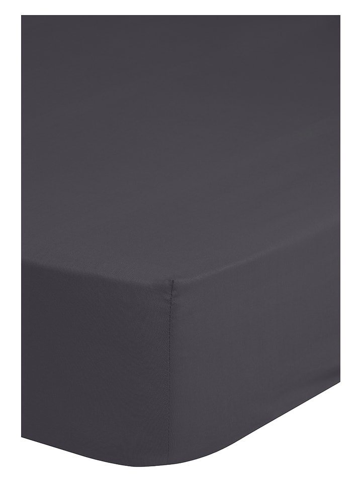 Good Morning Dżersejowe prześcieradło w kolorze antracytowym na gumce rozmiar: 90x220 cm