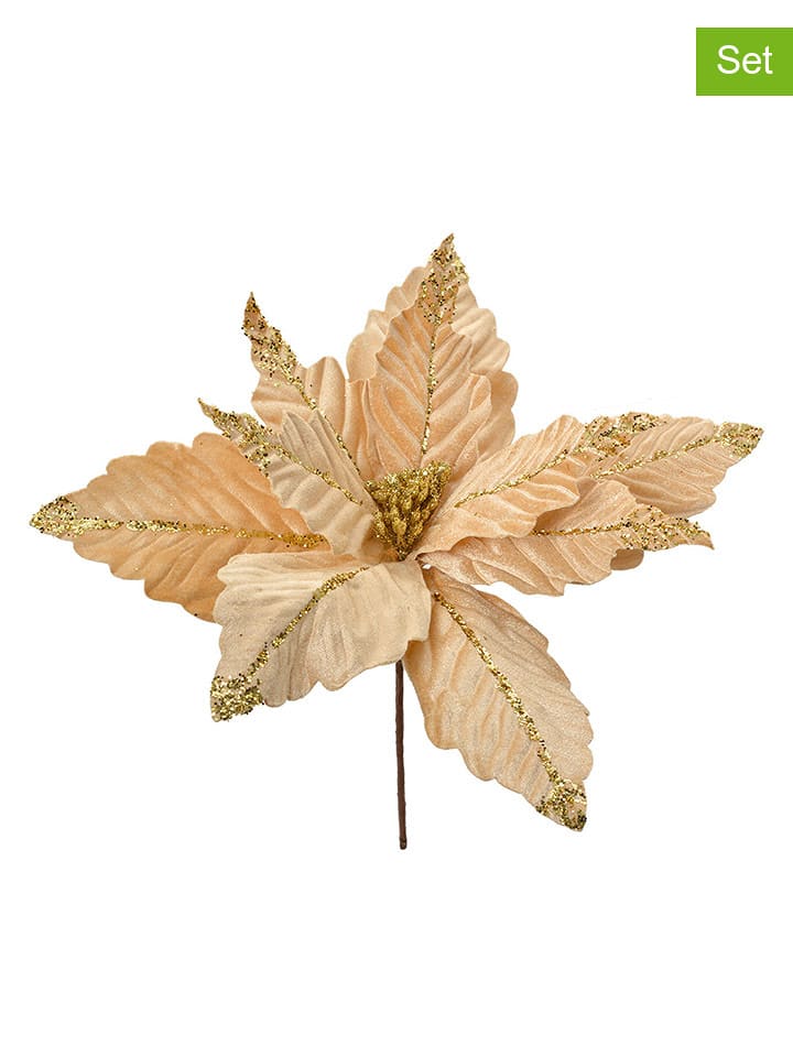 Clayre & Eef Rośliny dekoracyjne (2 szt.) w kolorze złoto-beżowym - wys. 36 cm rozmiar: onesize