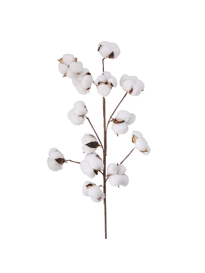 Boltze Gałązka ozdobna w kolorze białym - 16 x 68 cm rozmiar: onesize