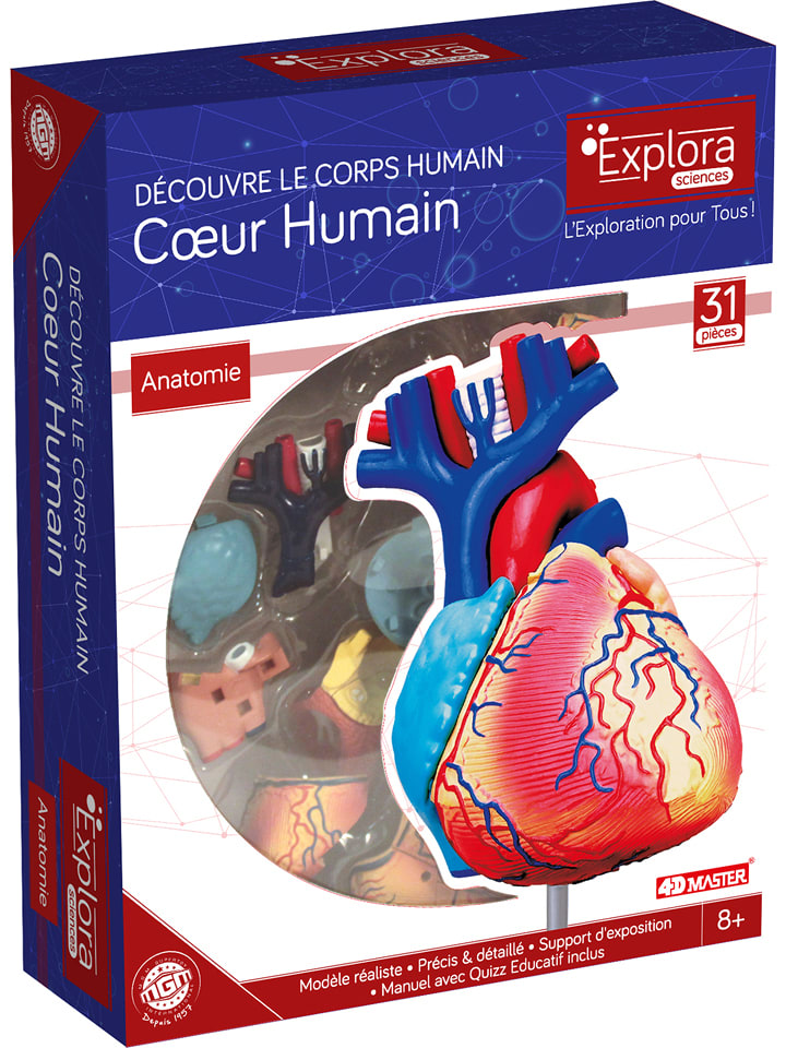 MGM Zestaw naukowy - 8+ rozmiar: onesize