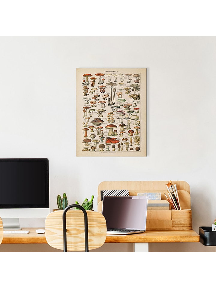 Orangewallz Druk artystyczny "Mushrooms" rozmiar: 40x50 cm