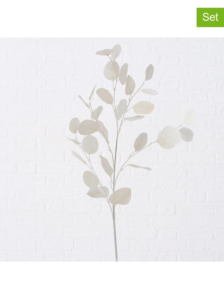 Boltze Gałązki ozdobne (2 szt.) "Eukalyptus" w kolorze białym - 25 x 90 cm rozmiar: onesize