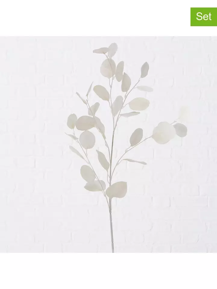 Boltze Gałązki ozdobne (2 szt.) "Eukalyptus" w kolorze białym - 25 x 90 cm rozmiar: onesize