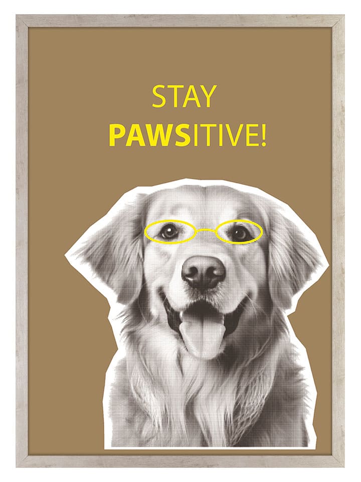 Ars Longa Druk artystyczny "Stay Pawsitive" w ramce - 70 x 50 cm rozmiar: onesize
