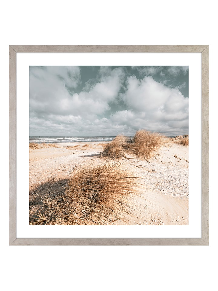 Ars Longa Druk artystyczny "Coastal Grasses" w ramce - 70 x 70 cm rozmiar: onesize