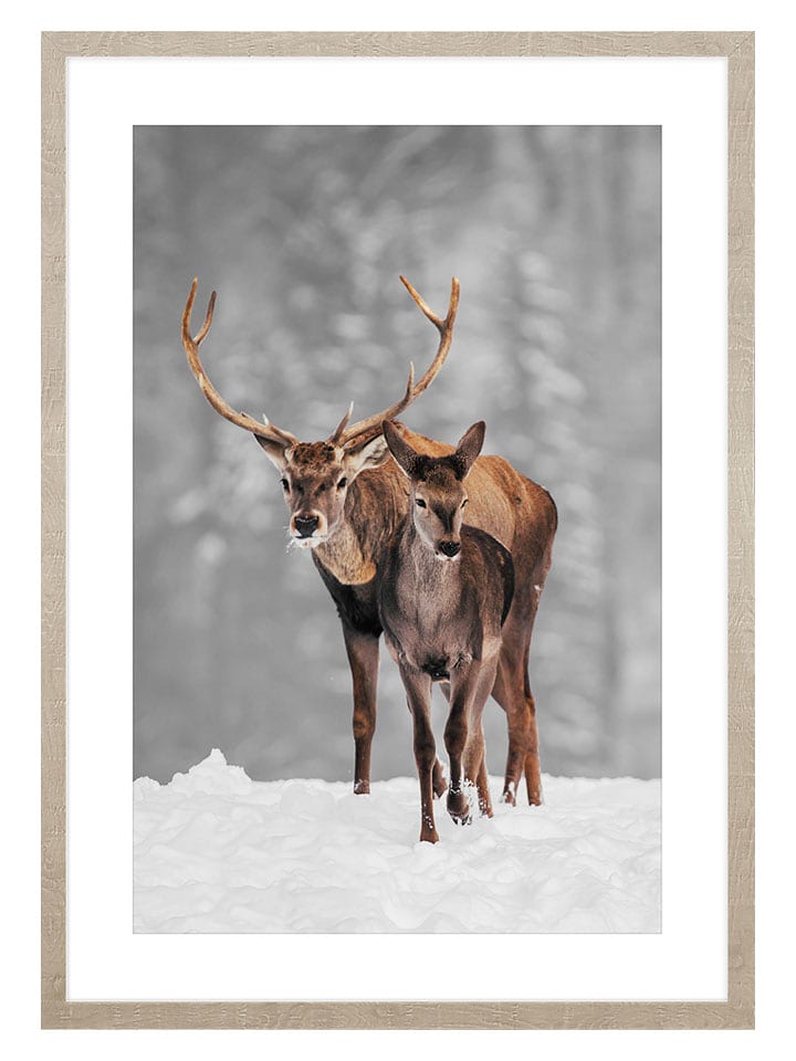 Ars Longa Druk artystyczny "Deers Walk" w ramce - 70 x 50 cm rozmiar: onesize